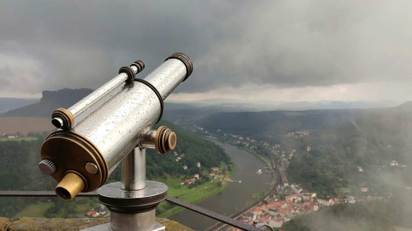 Comment élaborer un guide d'observation des oiseaux endémiques en camping dans le parc national de Yosemite?